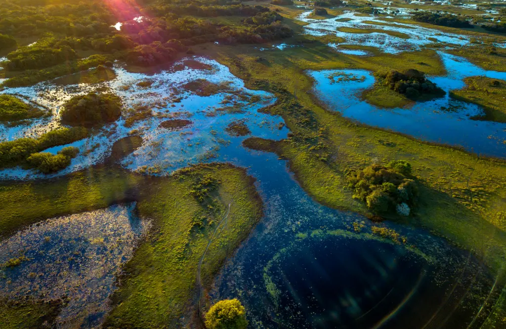 Pantanal - Turismo en Brasil | Brasil A Todo Momento