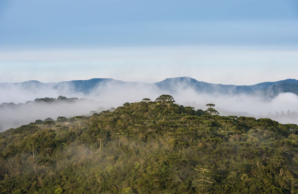 Turismo Santa Catarina