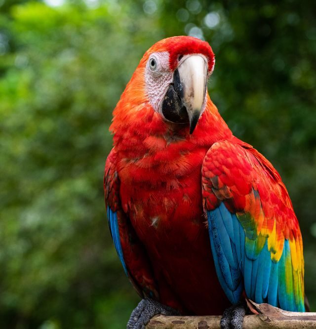 Turismo Amazônia
