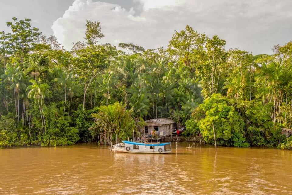 Tour na Floresta Amazônica