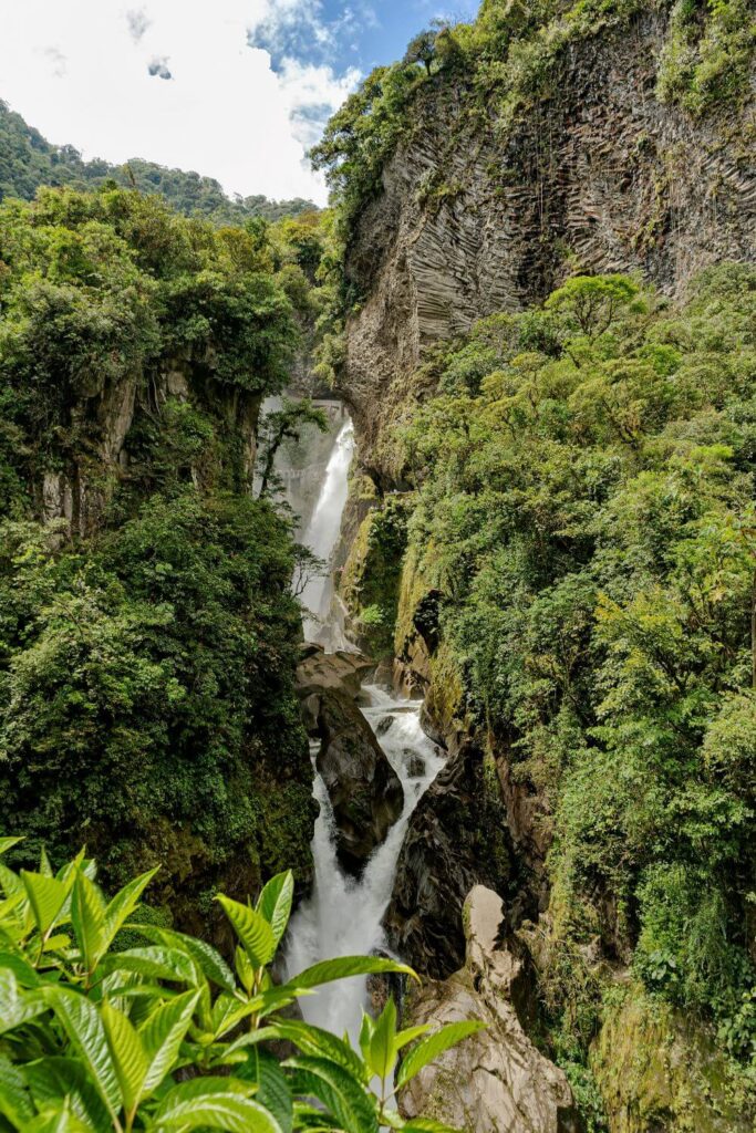 Como ficar seguro na Floresta Amazônica