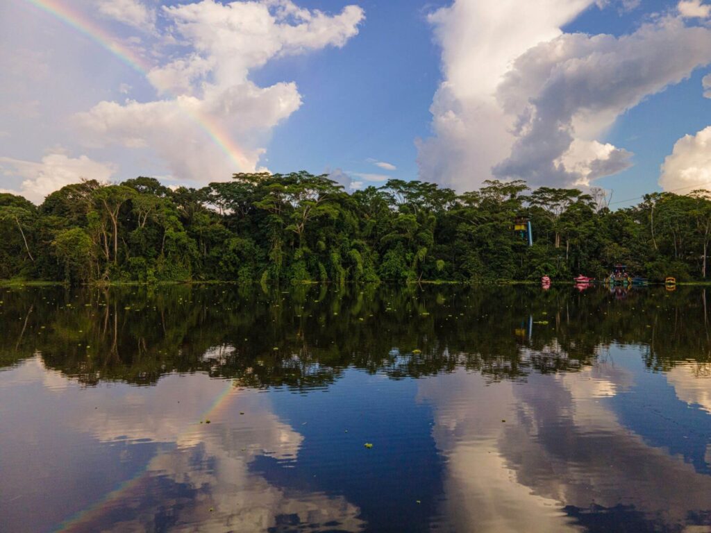 Como ficar seguro na Floresta Amazônica