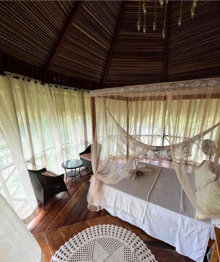 Os melhores hotéis na Floresta Amazônica