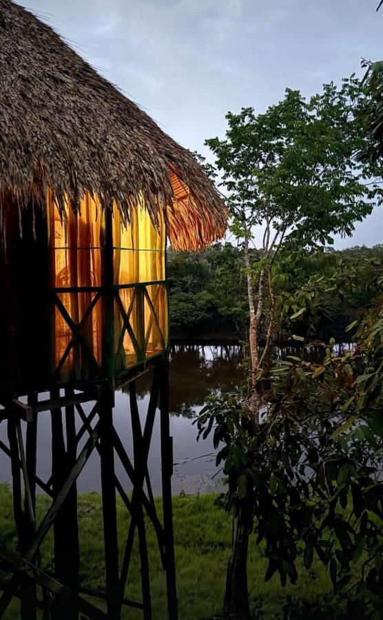 Os melhores hotéis na Floresta Amazônica