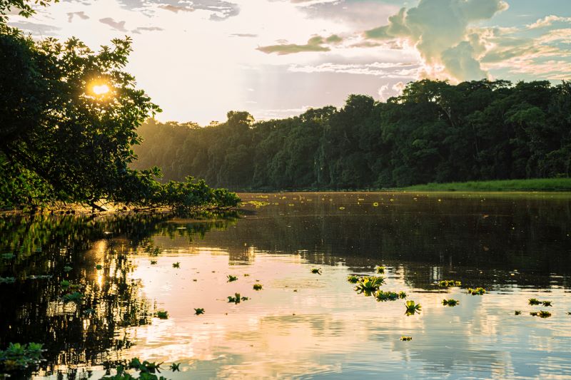 Acesso à Internet na Amazônia funciona? Descubra como se manter online em 2025