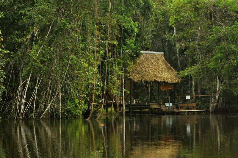 Acesso à Internet na Amazônia funciona? Descubra como se manter online em 2025