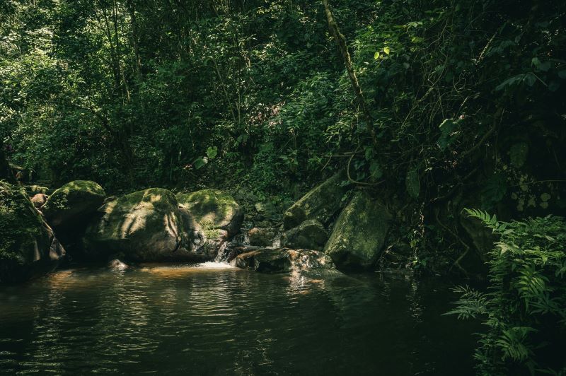 Acesso à Internet na Amazônia funciona? Descubra como se manter online em 2025