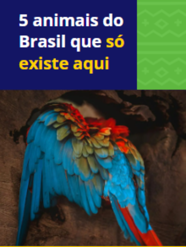 5 animais do Brasil que só existe lá