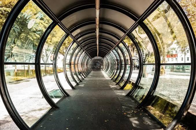 Como se locomover em Curitiba: Transporte, custos e dicas práticas