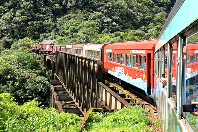 O que fazer em Curitiba: Roteiros de 1, 2 e 3 dias + dicas práticas